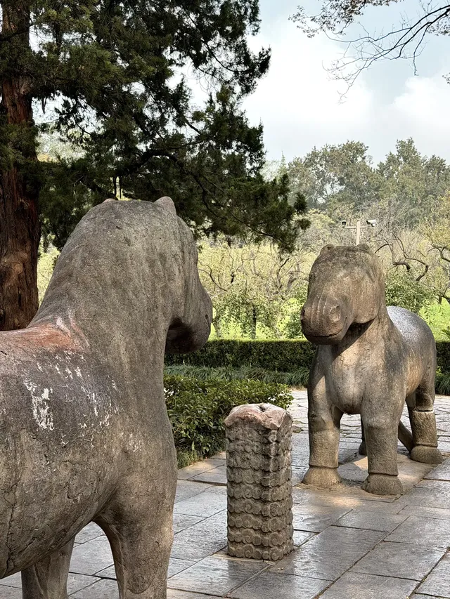 我在南京拍到了莫奈的睡蓮,想看看你拍的 我在南京拍到了莫奈的睡蓮,想看看你拍的