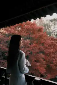 何園的雞爪槭，已經進入「高光時刻」