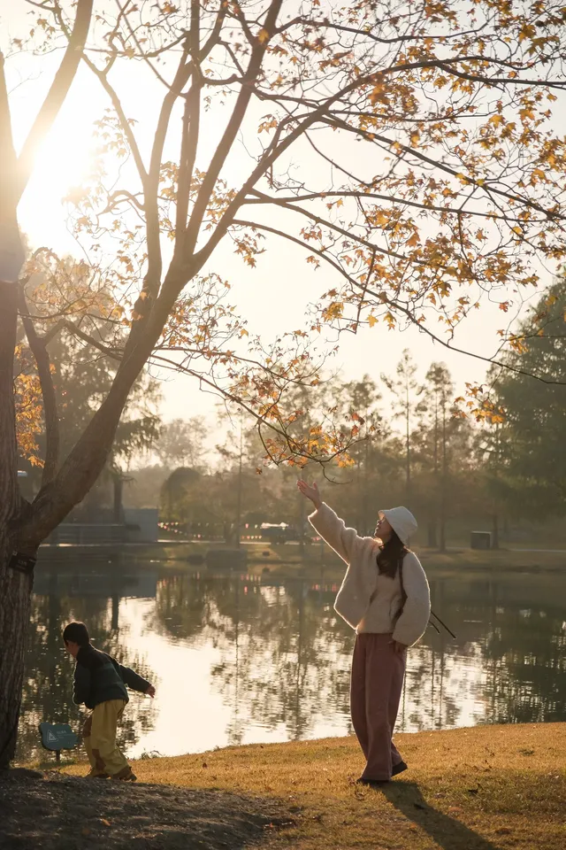上海辰山植物園|去過超十次,還是想去! 上海辰山植物園|去過超十次,還是想去!