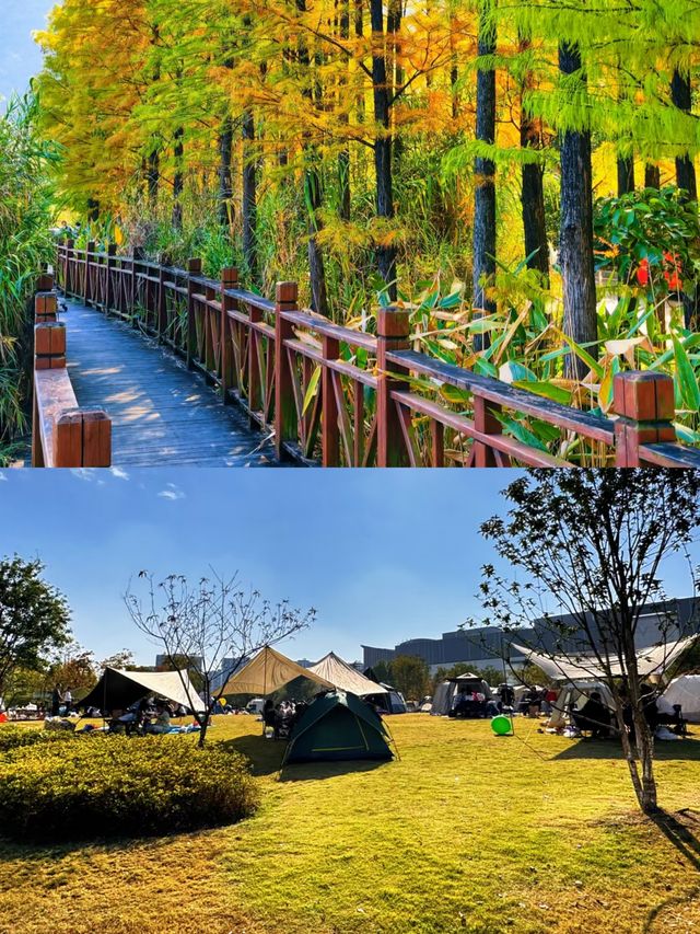 超詳細！清遠桃花湖3天2晚親子遊｜人均幾千搞定神仙度假