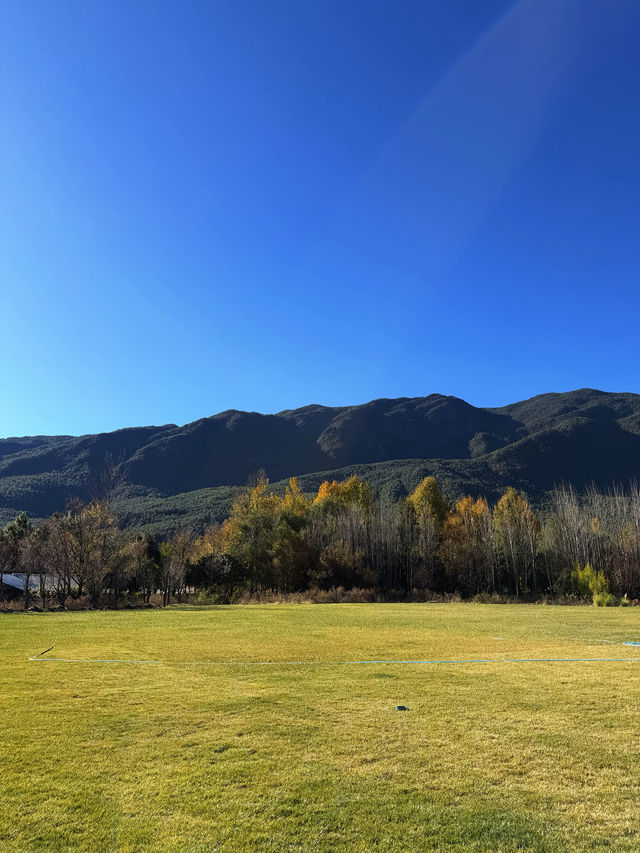 雪山下的藝術暴擊！阿美澤這趟打卡太值了