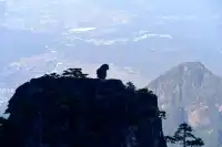 初冬的黃山,依然可以封神!