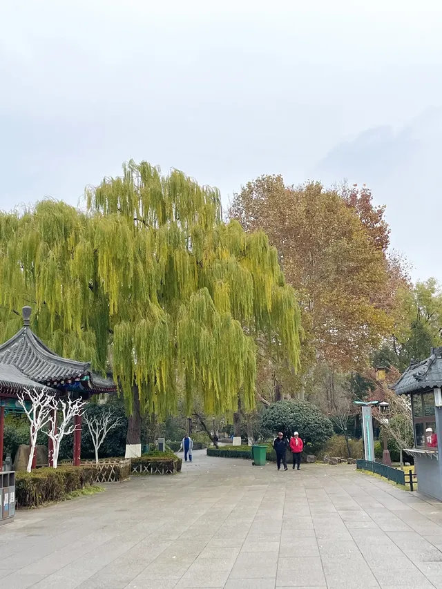 老舍：上帝把秋和冬全賜給了濟南