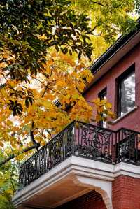 梧桐區獨棟別墅，藏著地道鮮味