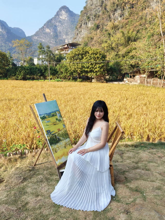 風吹麥浪 小紅書跟風最成功的一次好chill 風吹麥浪 小紅書跟風最成功的一次好chill