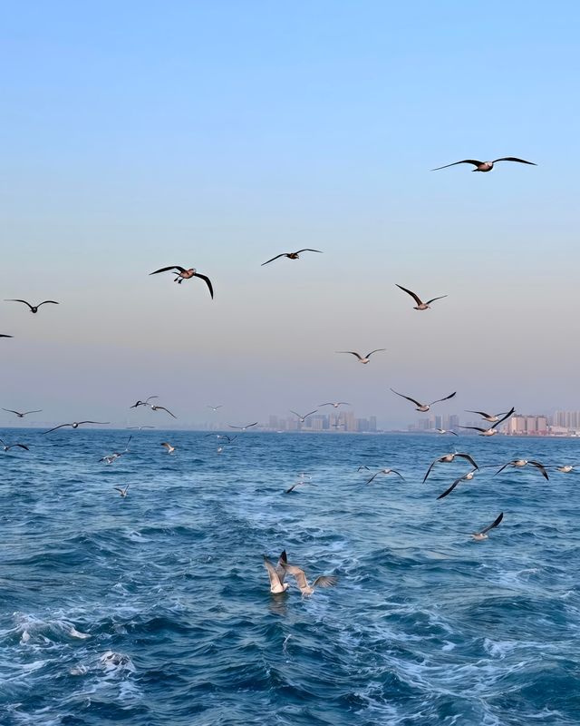 青島:山海間的百年風情,一灣潮起的時光長卷 青島:山海間的百年風情,一灣潮起的時光長卷