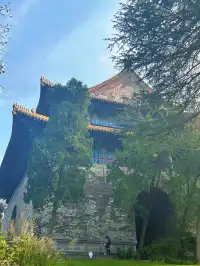 賞秋最美南京|鐘山風景區一天遊