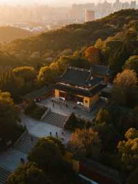 嶽麓山親子楓景線!帶娃沉浸式感受秋日詩意