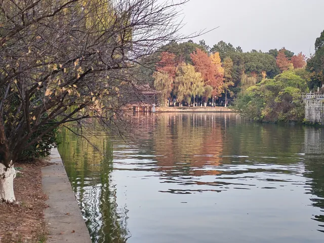 滿城盡飛黃金葉，紹興古城河清園秋色正迷人