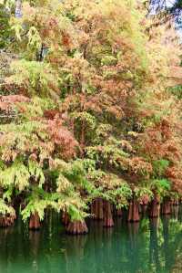 廣州1h週末躺平|肇慶山水吸氧天花板