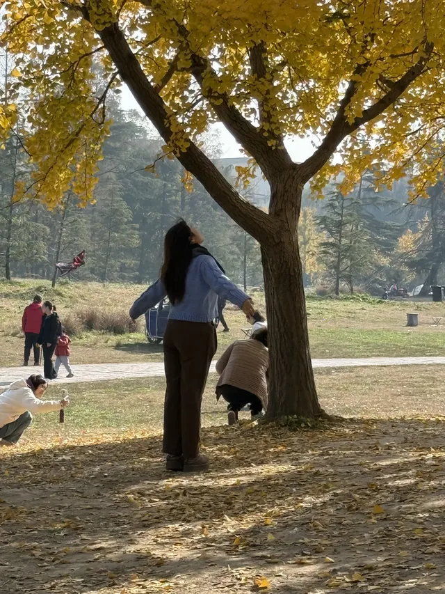 這風景好美,真的好想讓所有人🫘看到 這風景好美,真的好想讓所有人🫘看到