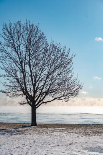 あなたたちが撮ったシカゴの大雪を見てみたいです