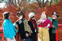 上海金山·花開海上 今年份的紅葉