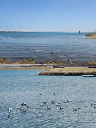 คู่มือการท่องเที่ยวเชิงลึก 4 วันสำหรับเมืองซีหนิงและสถานที่อื่นๆ นี้ จะช่วยให้คุณมีช่วงเวลาที่ดีเยี่ยม