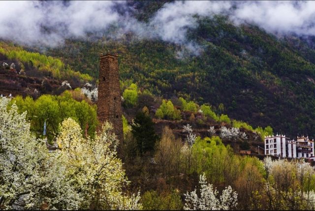 春日賞花小眾路線