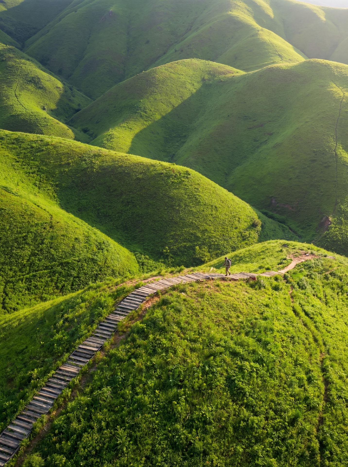 Island and Grassland Double Beauty