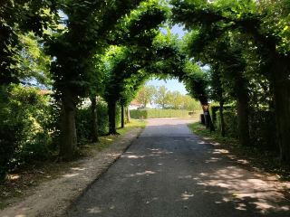 เส้นทางเดินป่าสุดอลังการรอบเมืองวัลเคนบูร์ก: ตามรอยแม่น้ำกัลป์! 🚶‍♂️🌲