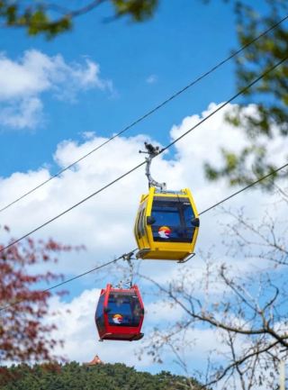 Liu Gong Island Mountain Cableway Renewed, National Style Awakens Spring Season