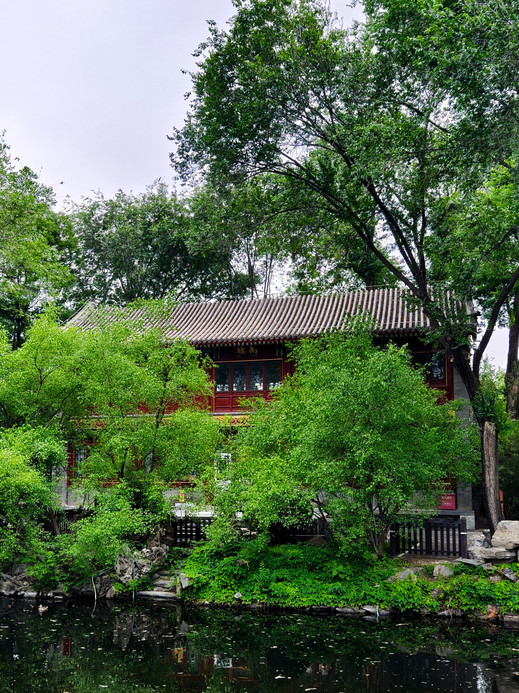 一つの庭園、二つの伝説〜宋慶齢故居訪問記 | Trip.com 北京