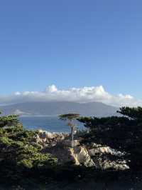 加州Airbnb住在太平洋海岸蒙特雷灣