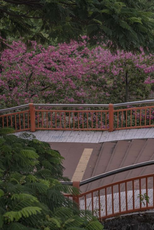 【初版】フラワータウンスケーピング = FLOWER TOWN SCAPING Great spot for spring outings, flower viewing, and taking kids out