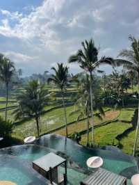 Exceptional Service and Relaxation at Equipoise Resort