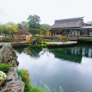 我在一個小村莊裡發現了八面鏡子——忍野八戒以最好的方式讓我心碎