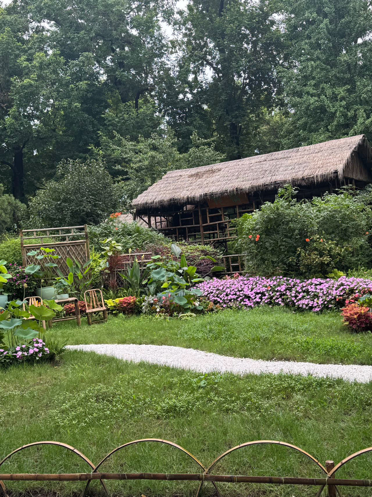 Suzhou | The Humble Administrator's Garden: A glimpse into the gentle charm of Jiangnan 🌿