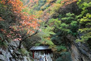 西狹頌峽谷賞秋攻略