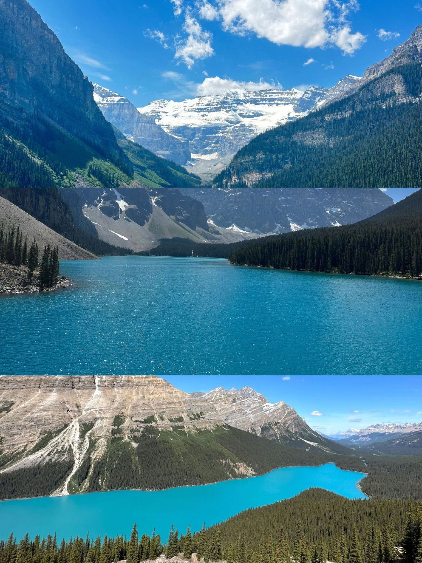 Hãy đọc hướng dẫn du lịch Canada 5 ngày này và bạn có thể sao chép trực tiếp!