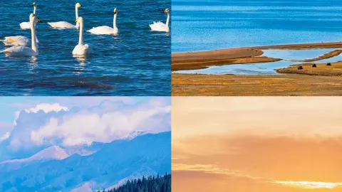 Just back from Sayram Lake, and I'm honestly losing it because it was just too… — traveler post in Bole
