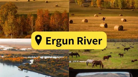 The first group of autumn chasers in Inner Mongolia for 2025 is back! — traveler post in Ergun