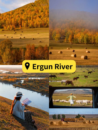 The first group of autumn chasers in Inner Mongolia for 2025 is back! 