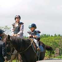 제주는 말이죠?! 🐎풍경을 즐기며 말을타보자 어승생승마장