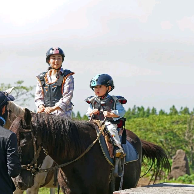 제주는 말이죠?! 🐎풍경을 즐기며 말을타보자 어승생승마장