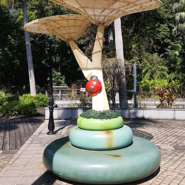 馬灣遊尋貓記