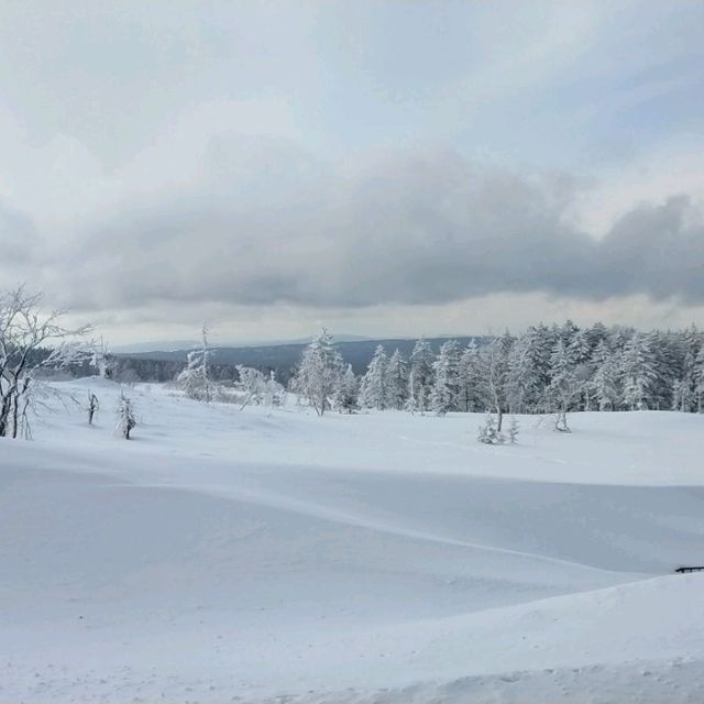 【美幌峠】が素晴らしい