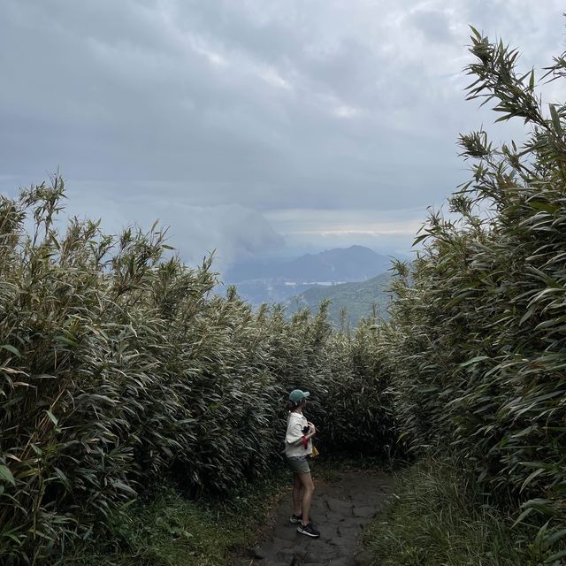 Yangmingshan: Lengshuikeng>>xiaoyoukeng trail