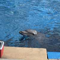 香港海洋公園