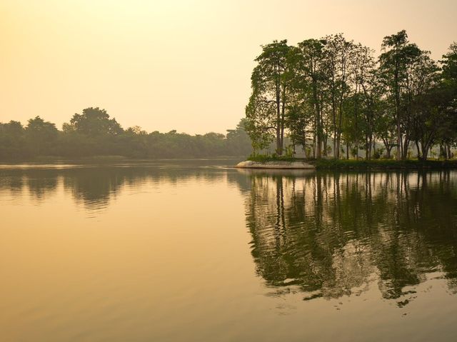 Dream Park Resort