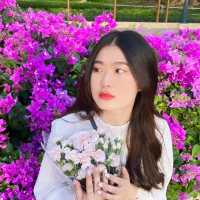 สวนเบญเเละดอกไม้จากปากคลองตลาด💐