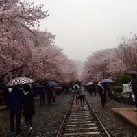 Gyeonghwa Train Station in Jinhae