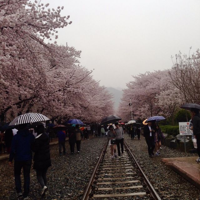 Gyeonghwa Train Station in Jinhae