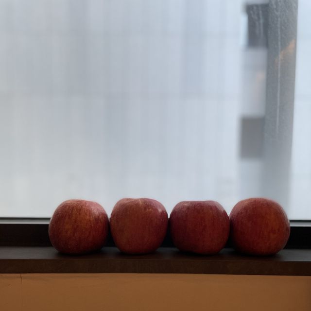 로컬스티치 시청점 (남대문. 신세계백화점 건너편쪽. 위치가좋아요. 