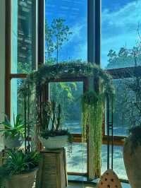 《台北》花博城市綠洲 免費森林系室內景點-台北典藏植物園