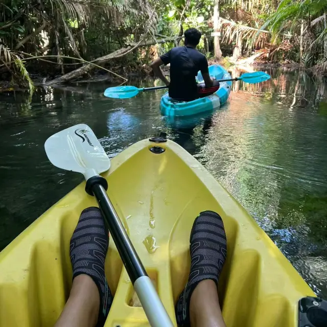 Unforgettable Kayak Trip in Krabi