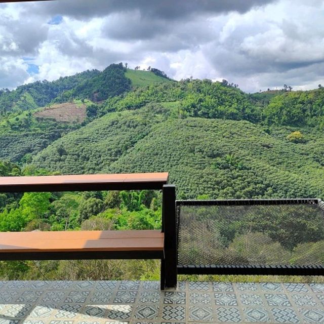 ดอยแม่สลอง
