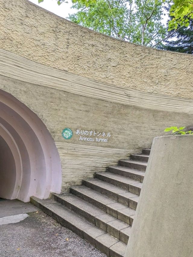 【北海道の大きな公園】キャンプも出来る滝野すずらん丘陵公園