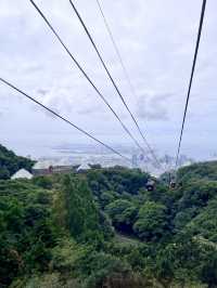 【神戸布引ハーブ園🌿ロープウェイ🚡】