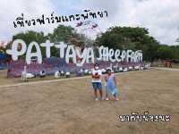 พาถ่ายรูปสวย ตะลุยชมสัตว์ @ ฟาร์มแกะพัทยา